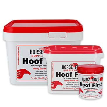  Hoof First 