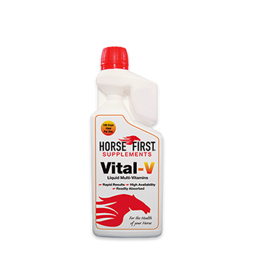  Vital-V 