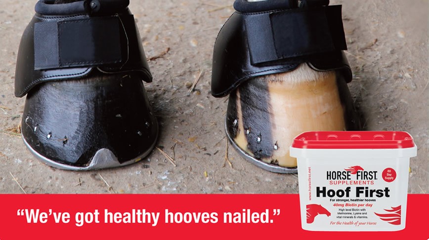 Horse Hoof Health Is Essential All Year Round