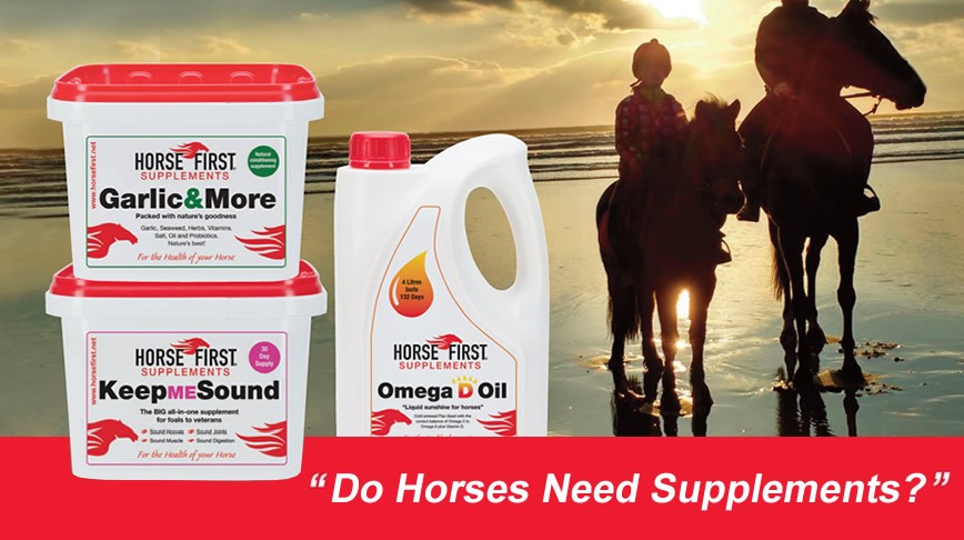 Do Horses Need Supplements?