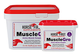 Horse Muscle Growth Supplement