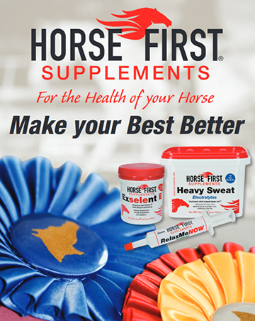 Horse First Heavy Sweat