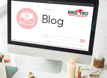 Horse First Blog
